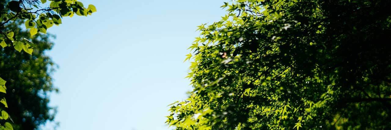 Productos de limpieza comprometidos con el medio ambiente Comprometidos con el medio ambiente